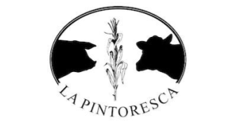 La Pintoresca S.A.